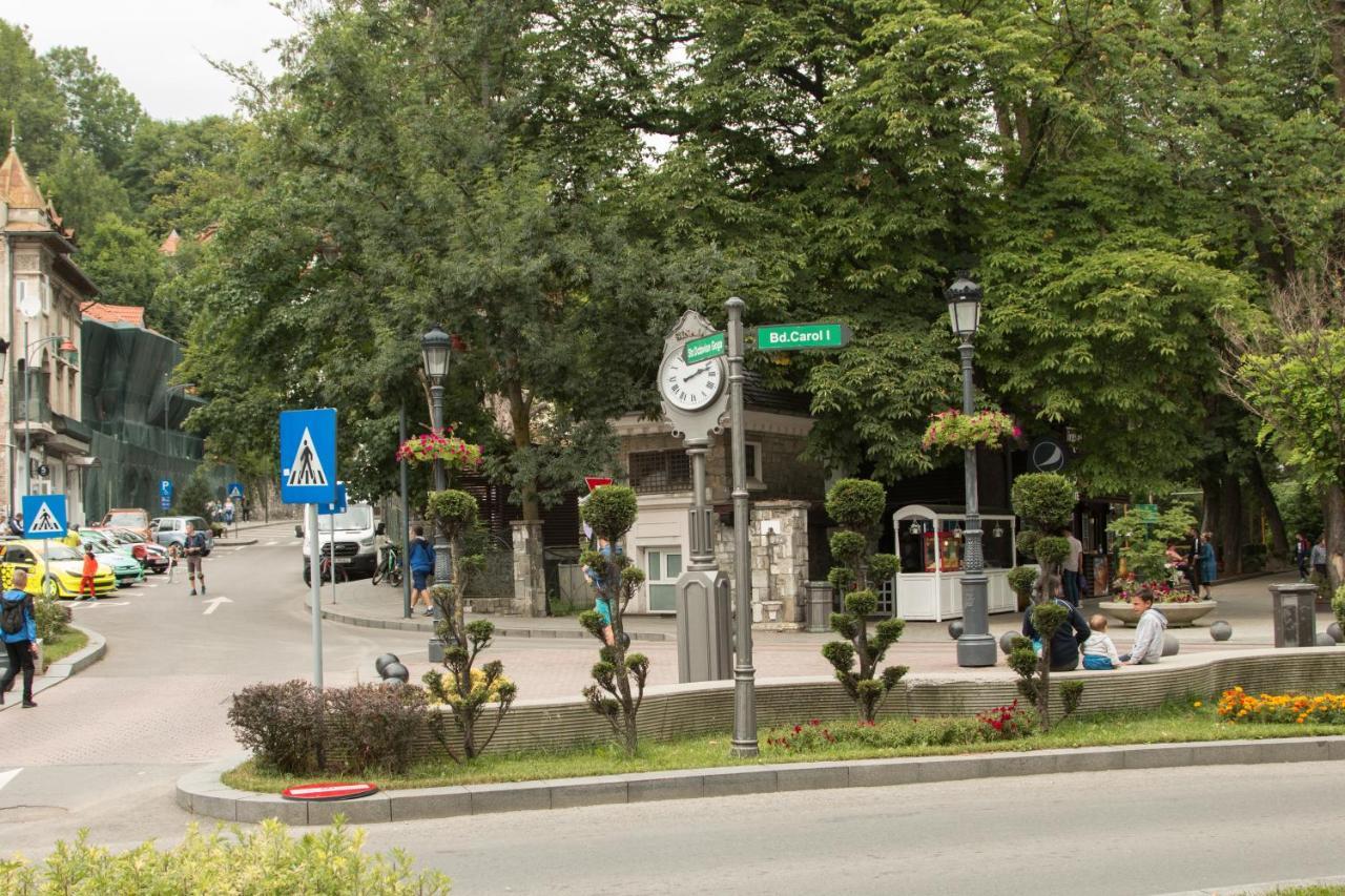 Apartament Downtown Park Loft Sinaia Zewnętrze zdjęcie