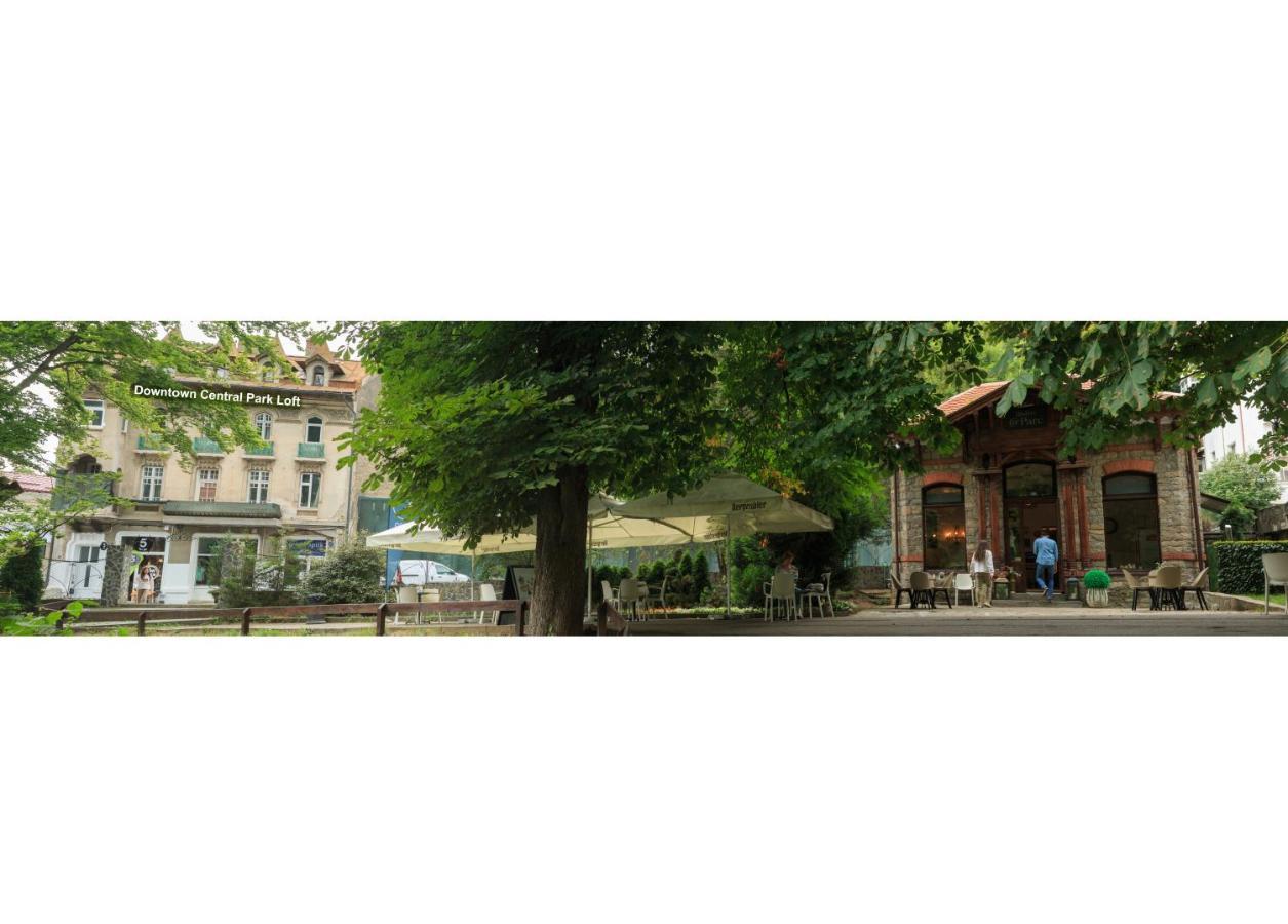 Apartament Downtown Park Loft Sinaia Zewnętrze zdjęcie