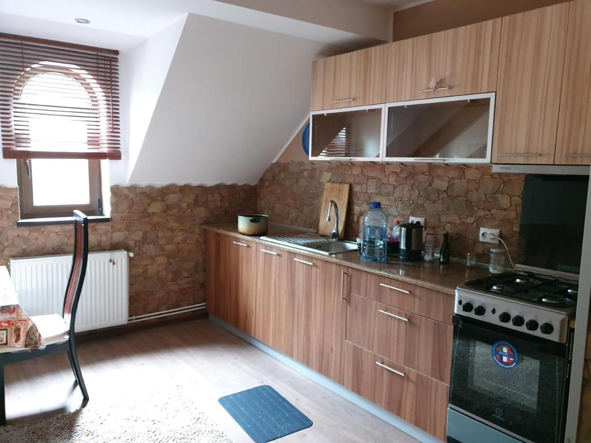 Apartament Downtown Park Loft Sinaia Zewnętrze zdjęcie